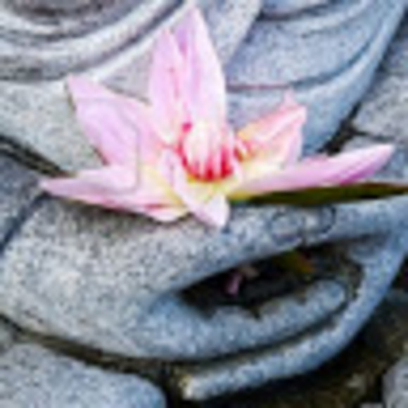 Meet your Posher, Jessica - Picture 1 of 1